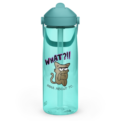 Styled By Broken Piecez Flip Straw Water Bottle