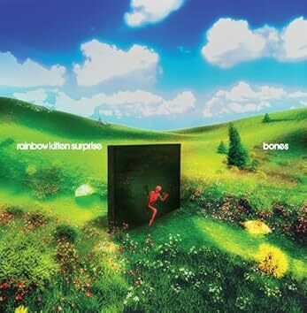Rainbow Kitten Surprise - Bones (Banana Vinyl)