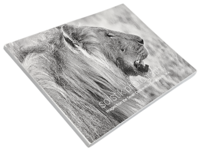 Watching the World: Mini Global Photography Book