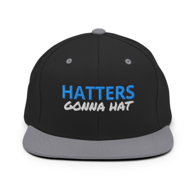 HATTERS GONNA HAT/ DEMOCRAT HAT/ Snapback Hat