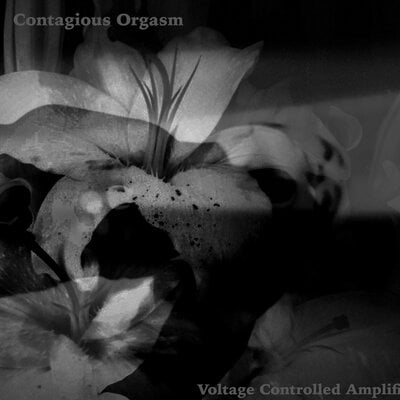 Contagious Orgasm 'Voltage Controlled Amplifier' 2xCD