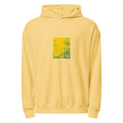 Unisex garment-dyed lightweight hoodie - Back to the Future