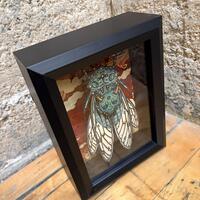 "Hashihimie" Limited Edition Print Shadowbox - Thumbnail 1