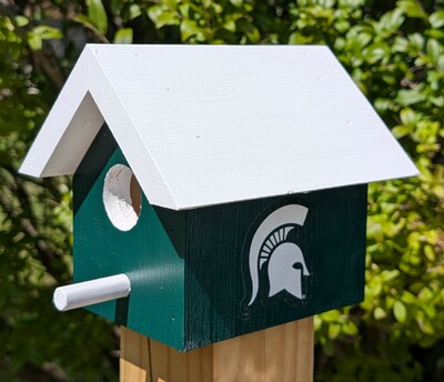 Michigan State Bird House