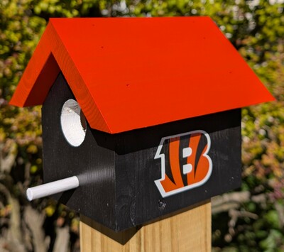 Bengals Bird House