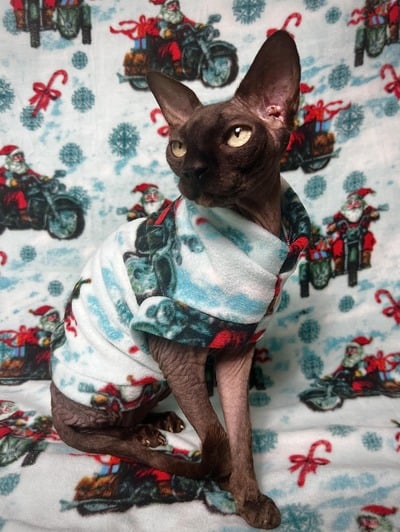 Santa’s Hogs - Luxe Fleece