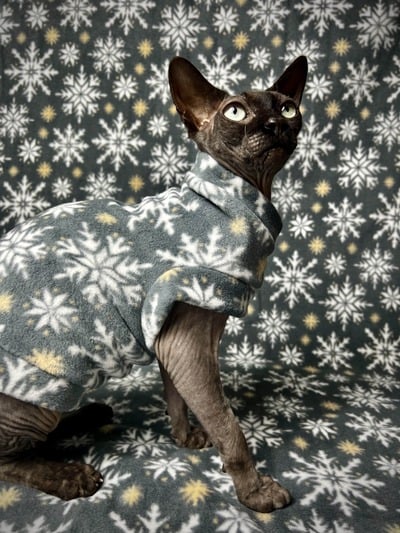 Snow Flurry - Luxe Fleece