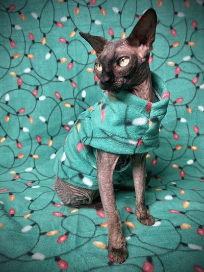 Light ‘Em Up! - Luxe Fleece