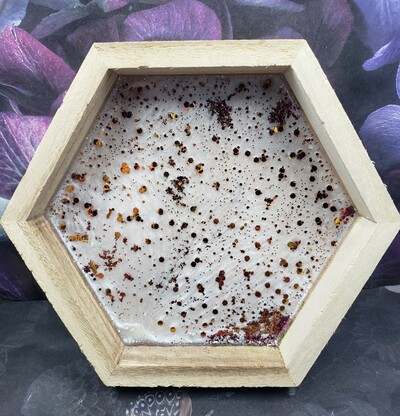 Hex Dice Tray #3