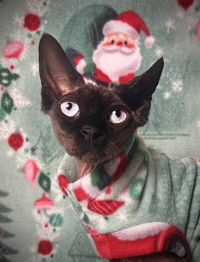 Santa On-The-Go - Luxe Fleece