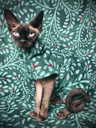 Holly Berry - Luxe Fleece