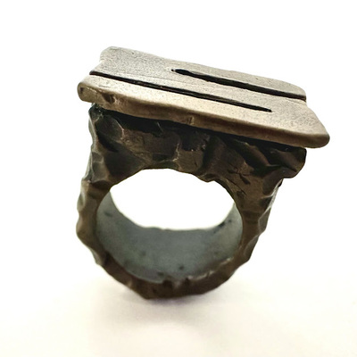 Cast Bronze Thesis Ring Version 3 (6 options)