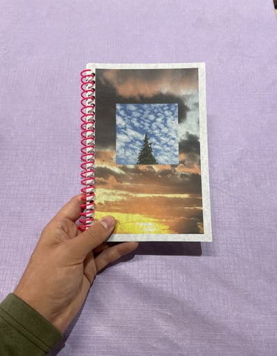 the beauty of noticing