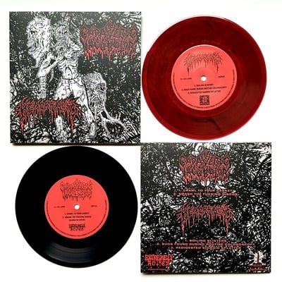 Hemorrhoid / Cadaveric Incubator split 7" record