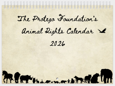 2026 Animal Rights Calendar (Pre-order)