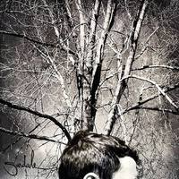 Sundale "s/t" cs (bitter melody)