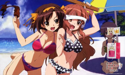 Brand New Haruhi Suzumiya Japanese Anime Bed Blanket 2