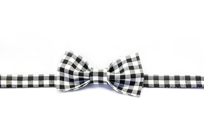 The Joshua - Bowtie