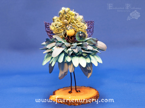 The Northern Faeries - Agua