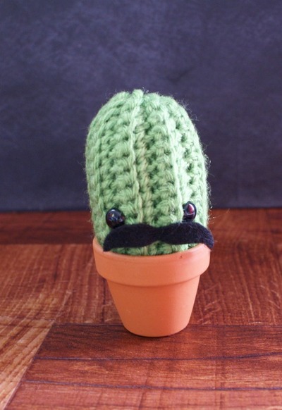 Louie, the Little Cactus