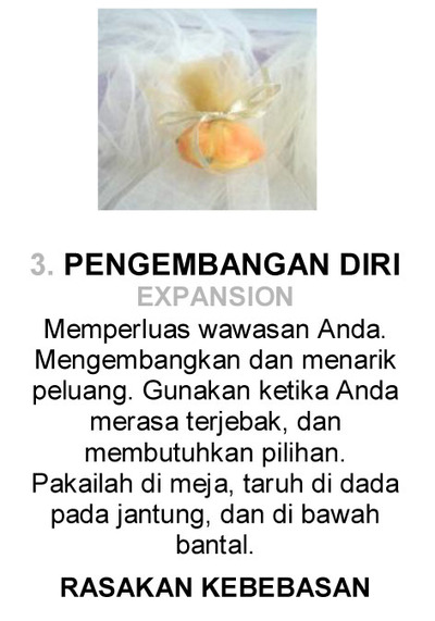 03 PENGEMBANGAN DIRI EXPANSION CRYSTAL REMEDY