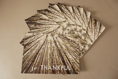 CARE CARDS // so thankful pack