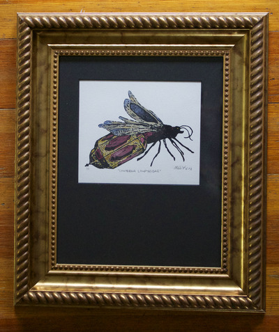 "Lanterna Lampyridae" Framed