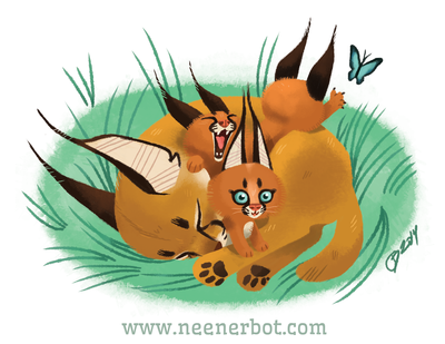 Caracal Pile Print