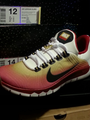 Nike free trainer 5.0 jerry rice