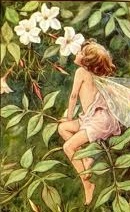 Jasmine Long Burning Hand Dipped Incense