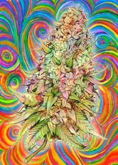 Cannabis Flower Long Burning Hand Dipped Incense