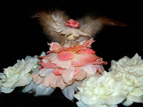 Kate the Flower Petal Faerie, Fairy, OOAK