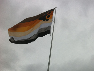 Bear Pride Flag