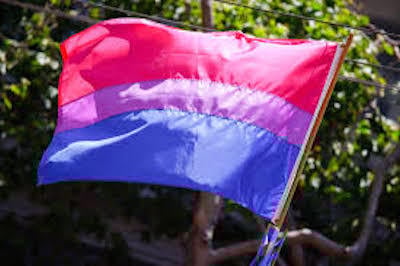 Bisexual Flag 3x5 foot
