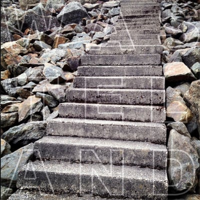 Wasteland, lp - Thumbnail 3