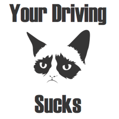 Your driving sucks - Thumbnail 4