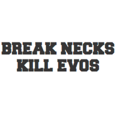 Break necks kill evos - Thumbnail 2