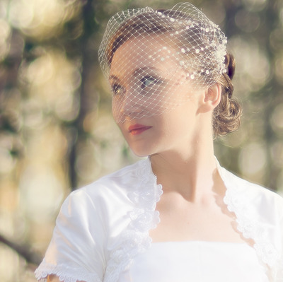 Stardust Sequined Birdcage Veil