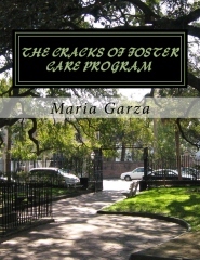 The cracks of the foster care program