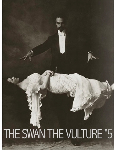 The Swan The Vulture #5