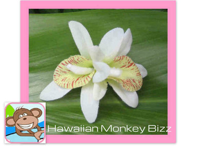 MINI Double White & Green ORCHID Hair CLIP . . .