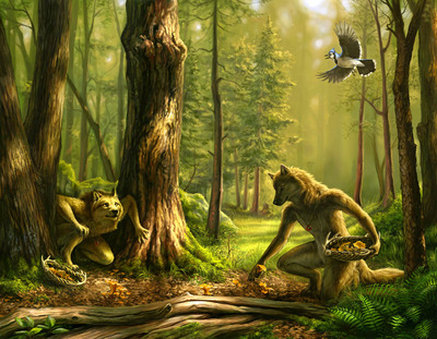 SALE 8x10 "Hidden Harvest" Print