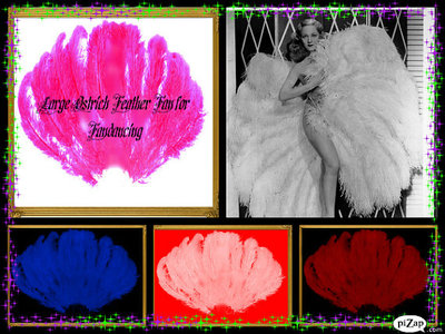Two Giant Ostrich Feather Fan-Fan Dancing-Burliesque-Sally Rand Style-Theatrical-Stage-Display-Wedding