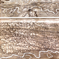 Mississippi River from the Mouth of the Missouri River to the Gulf of Mexico 1884 - Bird's Eye View Map, Antique map, Framable, Fine Art - Thumbnail 4