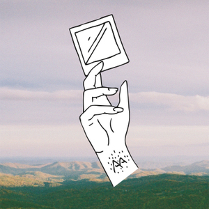 Sinai vessel "profanity" 12" ep (flannel gurl)