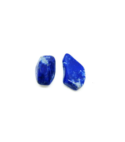 Lapis Lazuli Earrings Crystal Mineral Studs