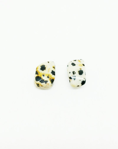 Dalmatian Jasper Earrings Crystal Mineral Studs