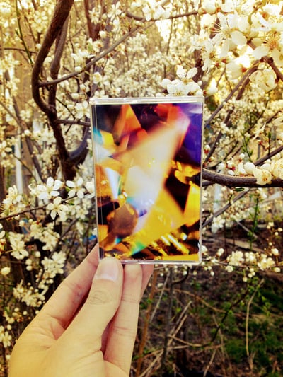 Pretty & nice - golden rules for golden people cassette + dl