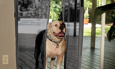 18 Magnets Hands Free Magic Mesh Screen Door Mosquito Bug Blocker Patio Pet