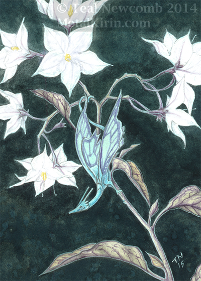 ACEO Print: "Nightshade" Giclee